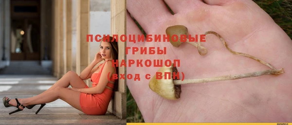 а пвп мука Балабаново